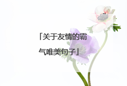 关于友情的霸气唯美句子