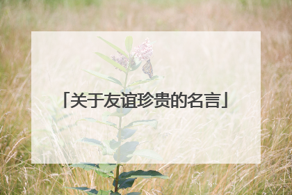 关于友谊珍贵的名言