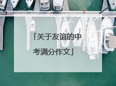 关于友谊的中考满分作文