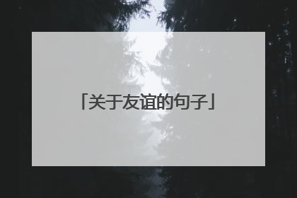 关于友谊的句子