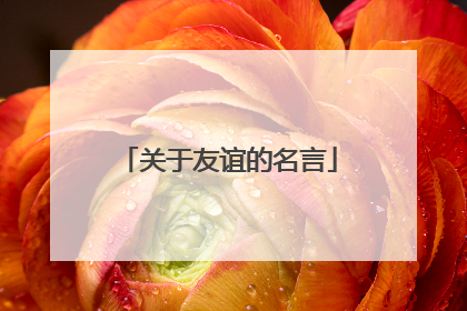 关于友谊的名言