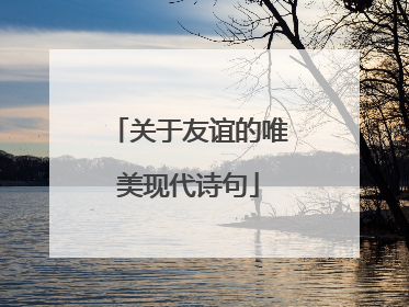 关于友谊的唯美现代诗句