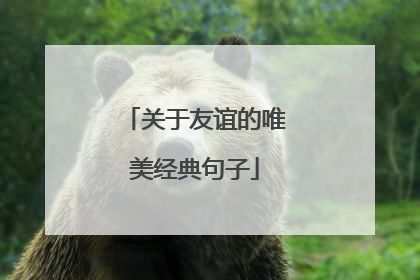 关于友谊的唯美经典句子