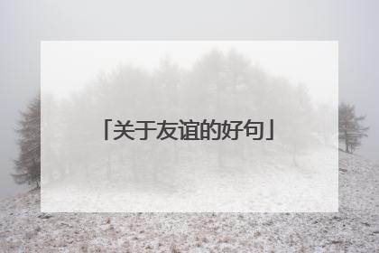 关于友谊的好句