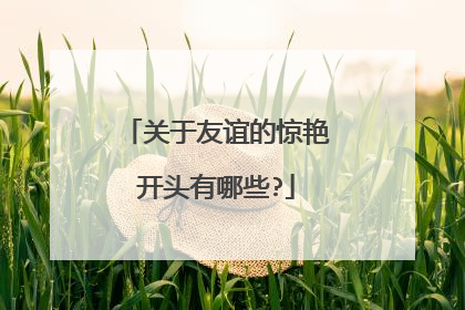 关于友谊的惊艳开头有哪些?