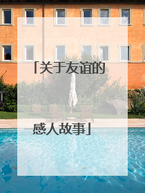 关于友谊的感人故事