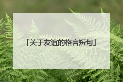 关于友谊的格言短句