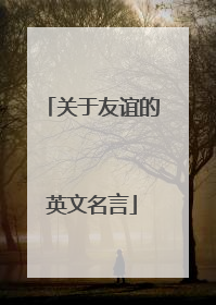 关于友谊的英文名言