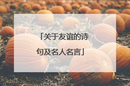 关于友谊的诗句及名人名言