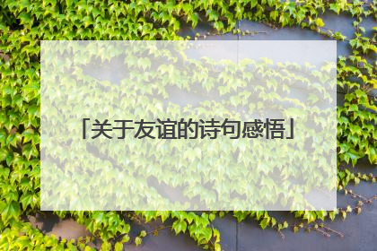 关于友谊的诗句感悟
