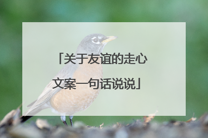 关于友谊的走心文案一句话说说