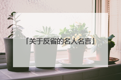 关于反省的名人名言