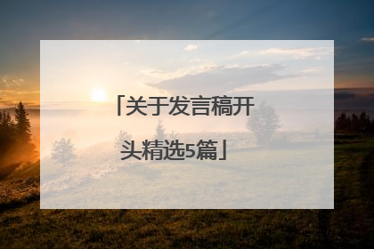 关于发言稿开头精选5篇
