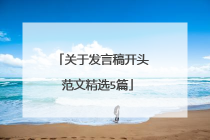 关于发言稿开头范文精选5篇