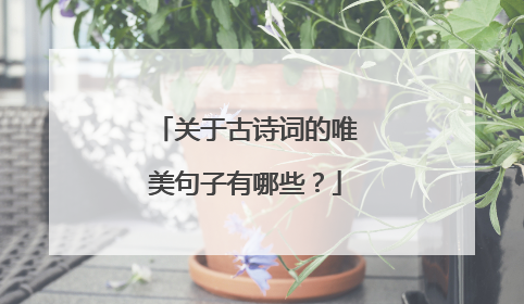关于古诗词的唯美句子有哪些？