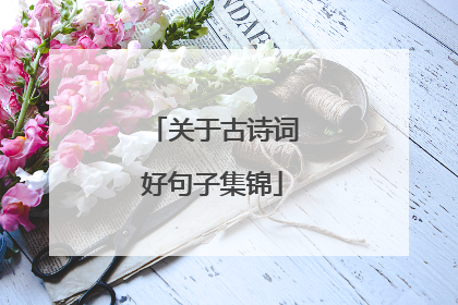 关于古诗词好句子集锦