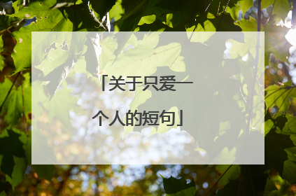 关于只爱一个人的短句