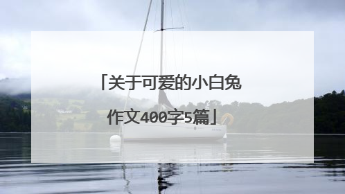 关于可爱的小白兔作文400字5篇