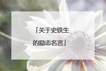 关于史铁生的励志名言