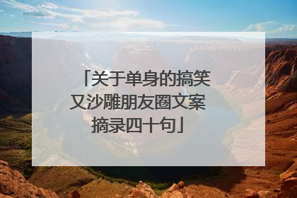 关于单身的搞笑又沙雕朋友圈文案摘录四十句
