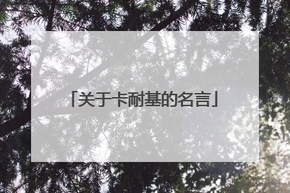 关于卡耐基的名言