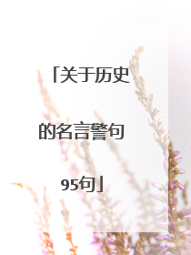关于历史的名言警句95句