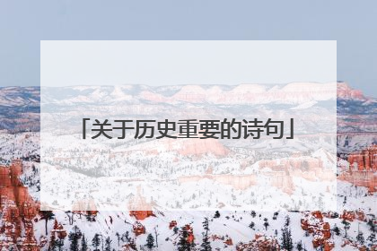 关于历史重要的诗句