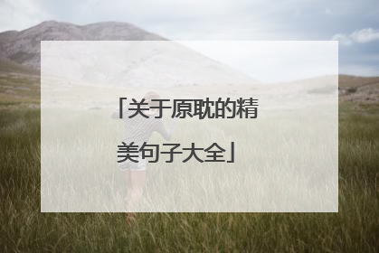 关于原耽的精美句子大全