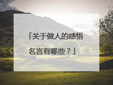 关于做人的感悟名言有哪些?