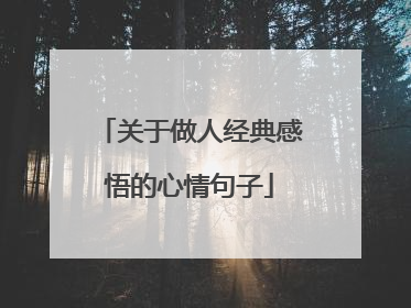 关于做人经典感悟的心情句子