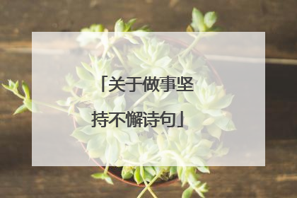 关于做事坚持不懈诗句