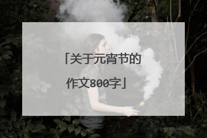 关于元宵节的作文800字