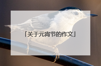 关于元宵节的作文