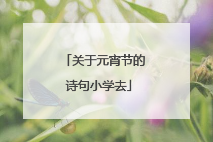关于元宵节的诗句小学去