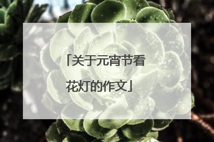 关于元宵节看花灯的作文