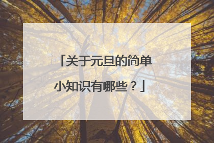 关于元旦的简单小知识有哪些?