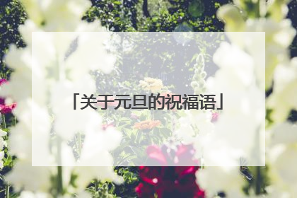 关于元旦的祝福语
