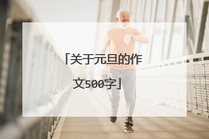 关于元旦的作文500字