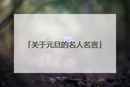 关于元旦的名人名言