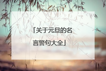 关于元旦的名言警句大全