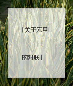 关于元旦的对联