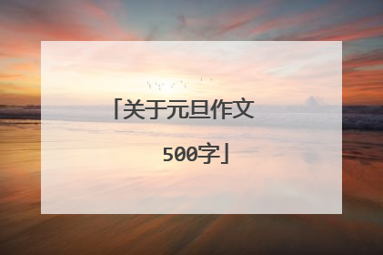 关于元旦作文 500字
