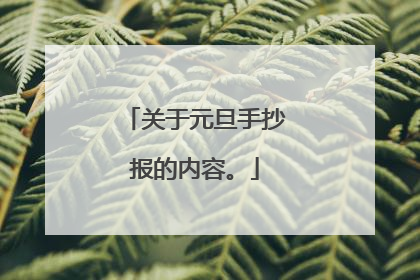 关于元旦手抄报的内容。