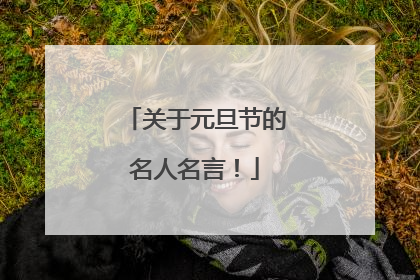 关于元旦节的名人名言！