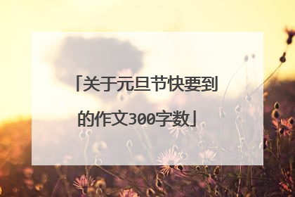 关于元旦节快要到的作文300字数