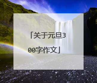 关于元旦300字作文
