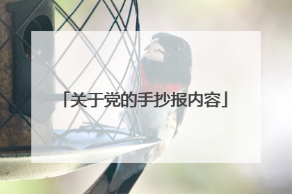 关于党的手抄报内容