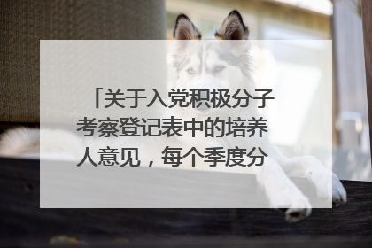 关于入党积极分子考察登记表中的培养人意见，每个季度分别怎么填？