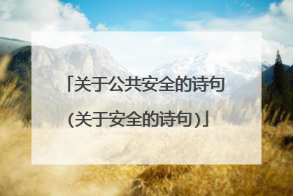 关于公共安全的诗句(关于安全的诗句)