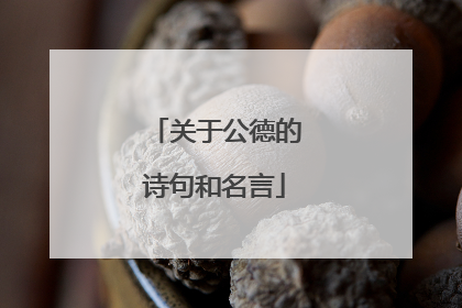 关于公德的诗句和名言